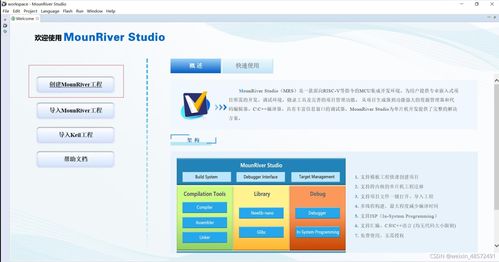 RISC-V架構與MRS開發環境在梅州軟件開發中的應用與展望